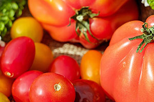 Biogartenmobil Sortiment Gemüse verschiedene Tomaten